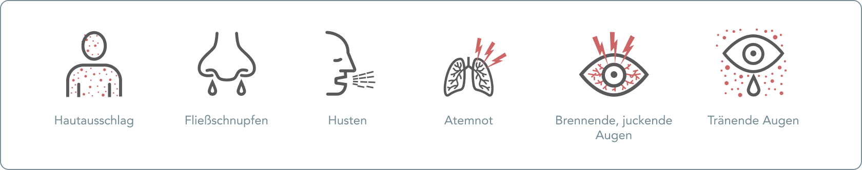 Allergie - Welche Symptome zeigen sich bei einer Allergie?
