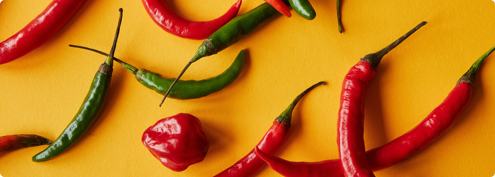 Nesselsucht (Urtikaria) - Chili