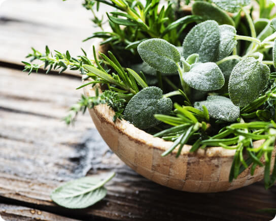 Mundgeruch (Halitosis) - Welche Lebensmittel wirken sich positiv auf Mundgeruch aus?