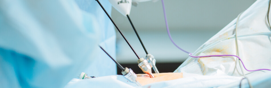 Eine Biopsie ist ein Diagnoseverfahren, das vielseitig einsetzbar ist.