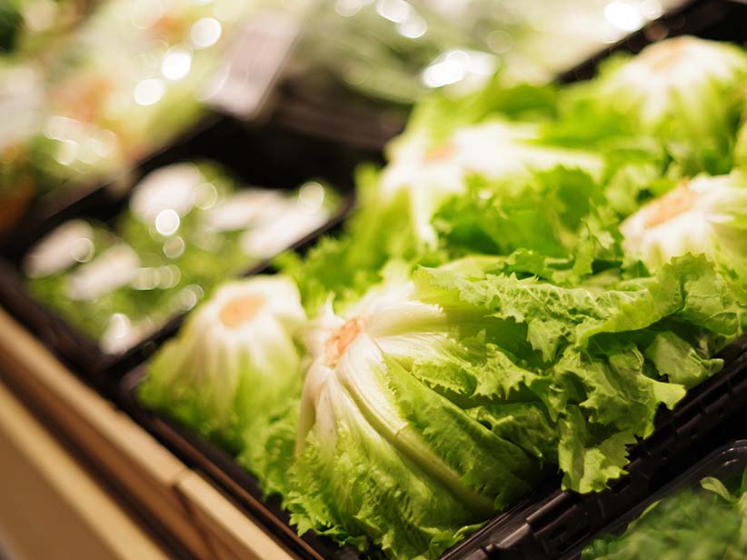 Bitterstoffe – Wie gesund sind sie wirklich?